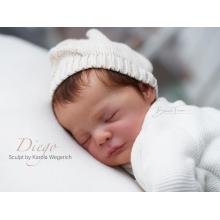 DIEGO By KAROLA WEGERICH