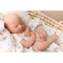 CARTER By ASHTEN BRYANT