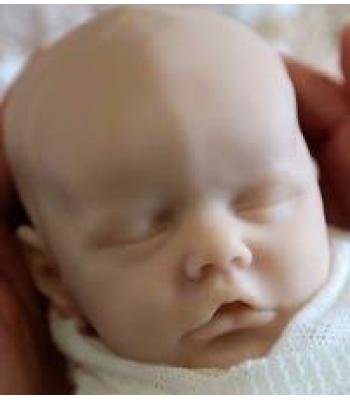 Twin B by Bonnie Brown